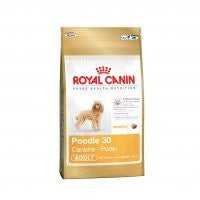 Royal Canin Poodle Caniche Adulto