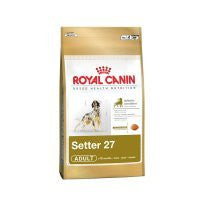 Royal Canin Setter Adulto